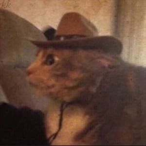 Meet your Posher, Cody